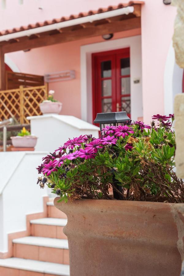 Chalki Apartments - Naxos Khalkíon Exterior photo