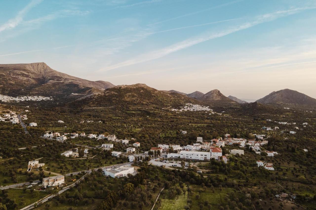 Chalki Apartments - Naxos Khalkíon Exterior photo